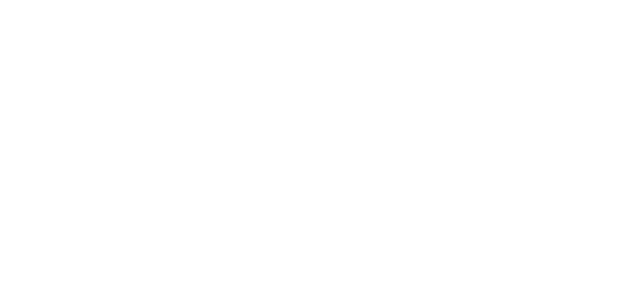 Our brands