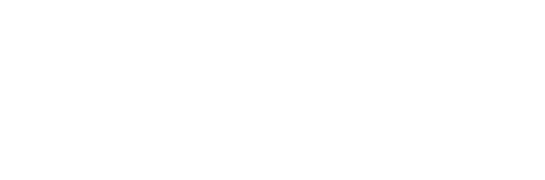 Our brands