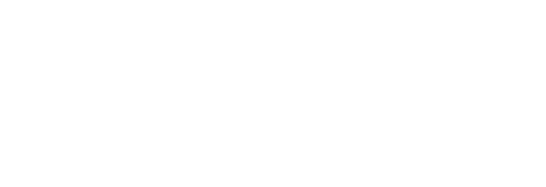 Our brands