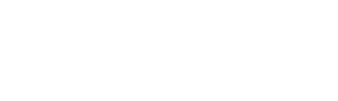 Our brands